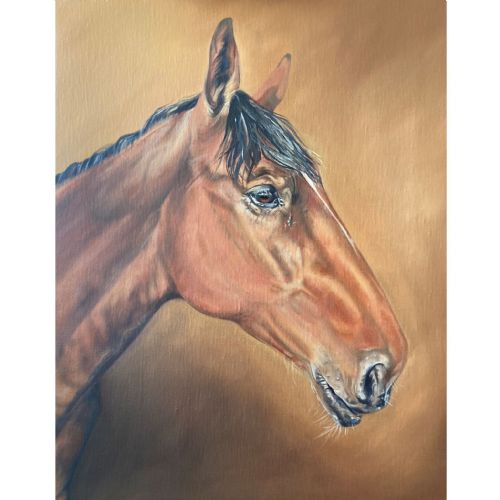 A4 Horse Portrait Painting